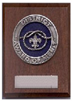 Dist-Award-of-Merit.jpg